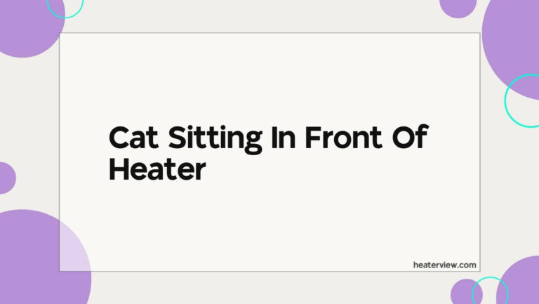 Cat Sitting In Front Of Heater