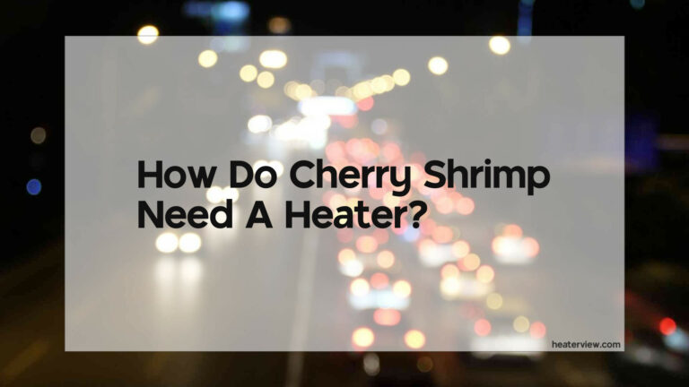 Do Cherry Shrimp Need A Heater
