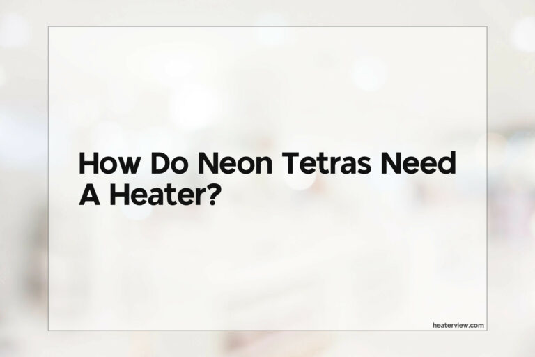 Do Neon Tetras Need A Heater