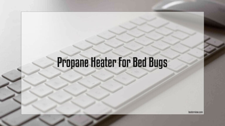 Propane Heater For Bed Bugs