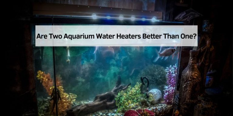 Are Two Aquarium Water Heaters Better Than One