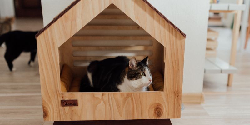 Choosing the Right Materials for Your DIY Cat House Heater