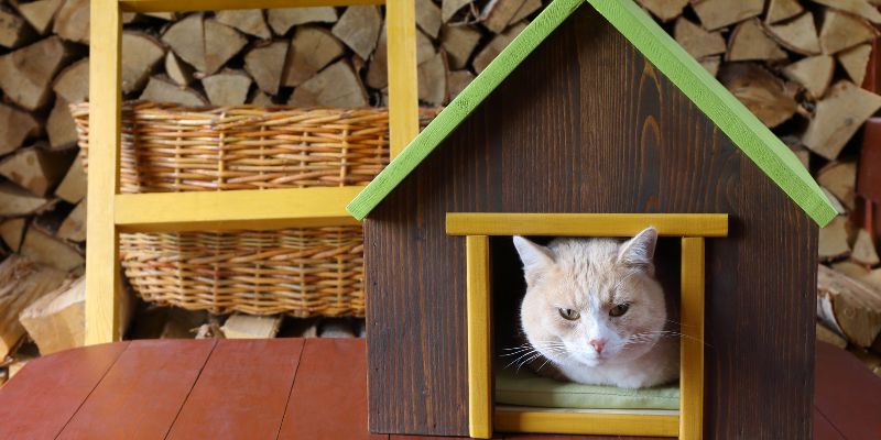 Making It Fun and Personal