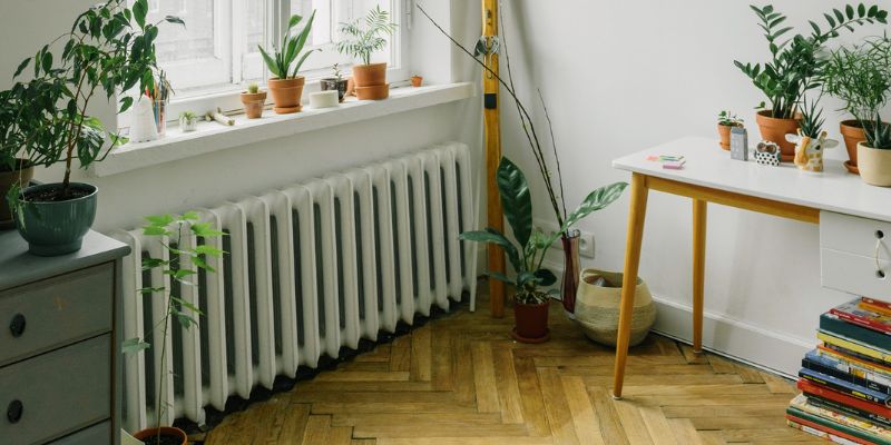 Which Should You Choose