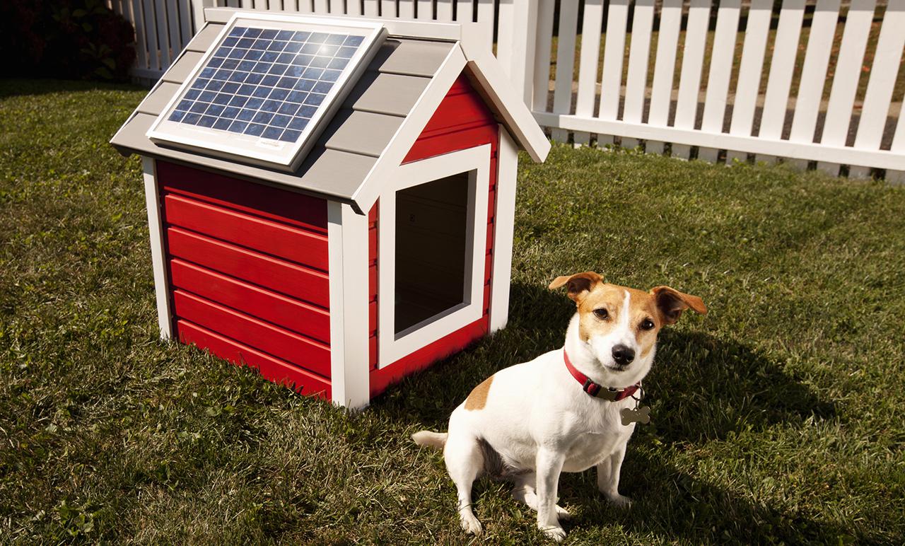 Diy Solar Heater for Dog House