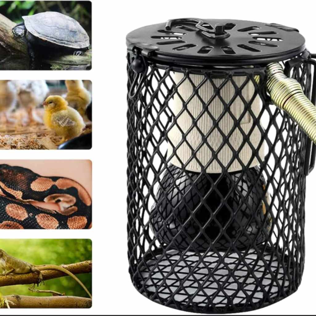 Are Ceramic Heaters Better for Snakes