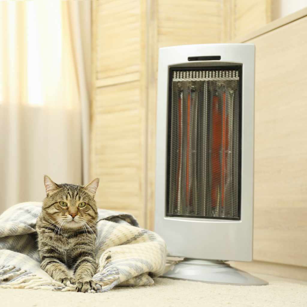 Ceramic Heaters vs. Other Types