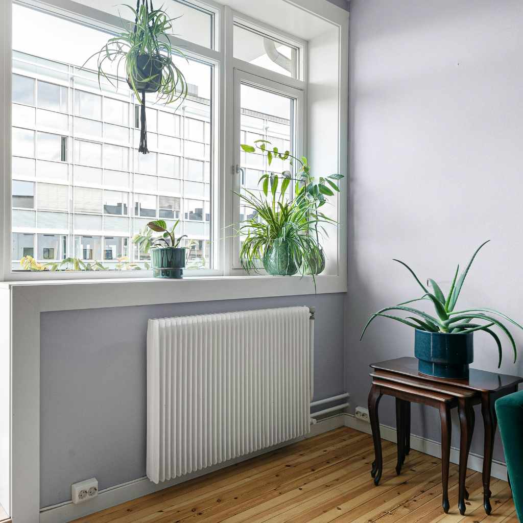 Understanding the Contenders