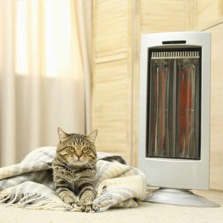 Emergency Heat Vs Space Heaters Powerfully Effective