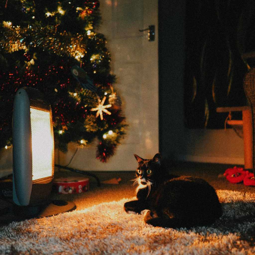 Infrared Heaters Vs Traditional Heaters Who was the Winner