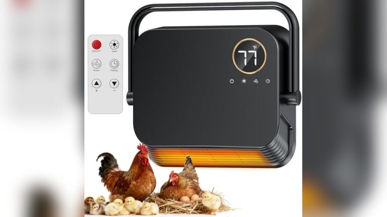 Best Chicken Coop Heater for Winter: Efficient, Smart, and Safe Solutions