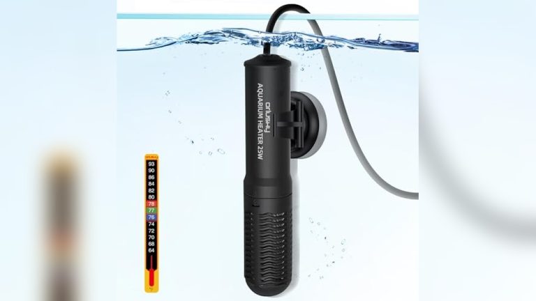 Best Fish for Small Tank Without Heater 2026: Top Picks Reviewed