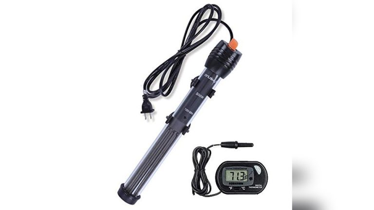 Best Fish Tank Heater 2026: Top Picks for Every Aquarium Owner