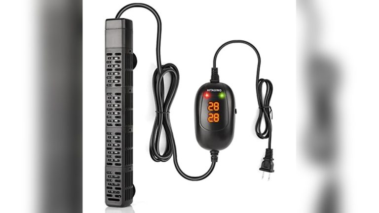 Best Fish Tank Heaters 2026: Top Picks for Every Aquarium