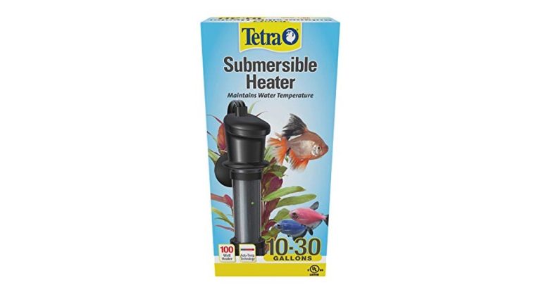 Best Heater for 20 Gallon Tank 2026: Top Picks for Efficient Heating