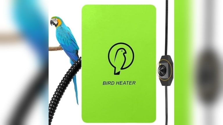 Best Heater for Bird Cage 2026: Top Warmth Solutions Reviewed