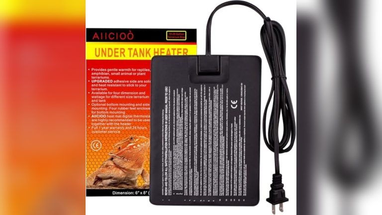 Best Heater for Hermit Crabs 2026: Top Picks for Cozy Habitats