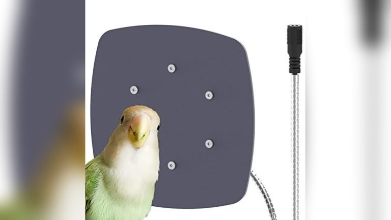 Is Edenpure Heaters Bird Safe in 2026? Complete Buyer’s Guide