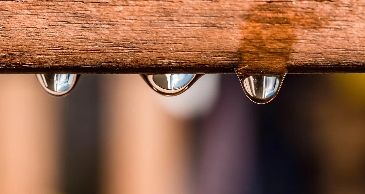 Should you shut off the water, power, or gas first?