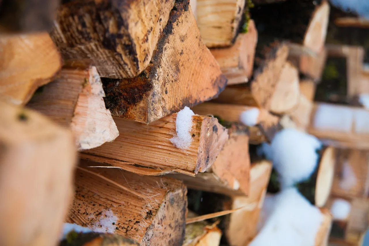 What should you do before turning on a heater for the season?