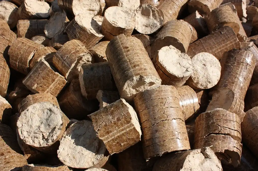 Wood stove vs fireplace insert: the real heating trade-off